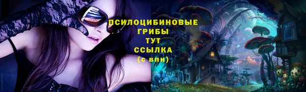 прущие крисы Аркадак