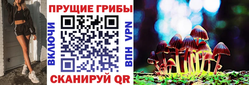 Галлюциногенные грибы Magic Shrooms  Данков 